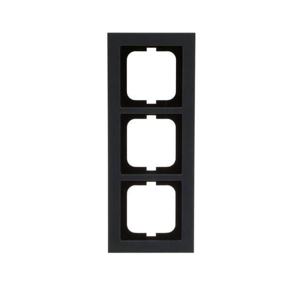 Busch-Jaeger Abdeckrahmen 1723-248