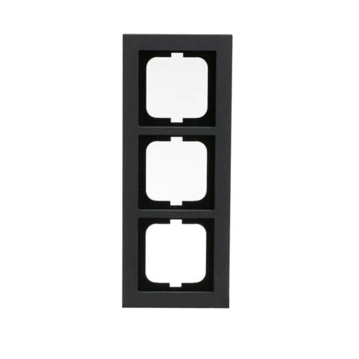 Busch-Jaeger Abdeckrahmen 1723-290