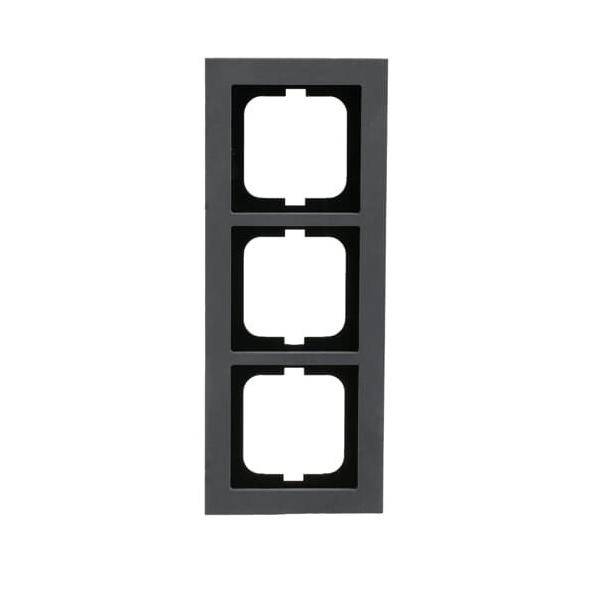 Busch-Jaeger Abdeckrahmen 1723-298