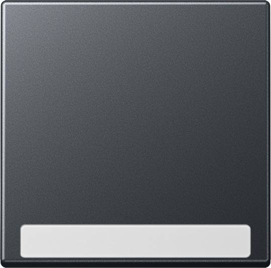 10 Stück Jung Wippe mit Schriftfeld A 590 BF NA ANM