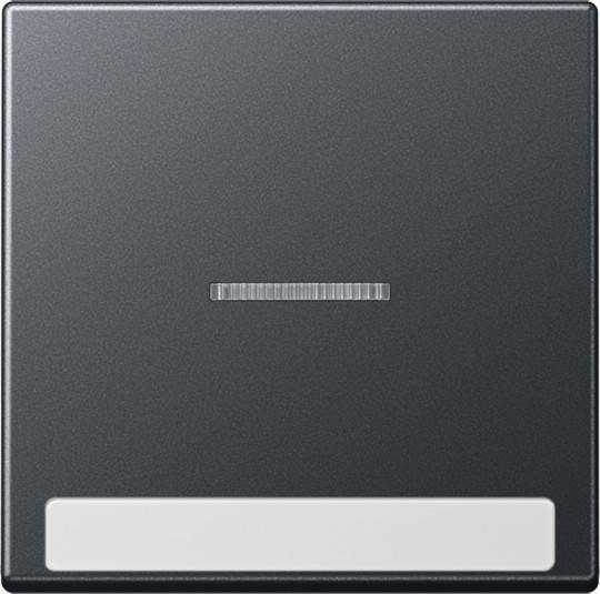 10 Stück Jung Wippe mit Schriftfeld A 590 BF NA KO5 ANM