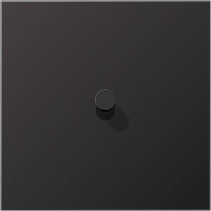 Jung Abdeckung mit Kipphebel AL 12-0 D K 01