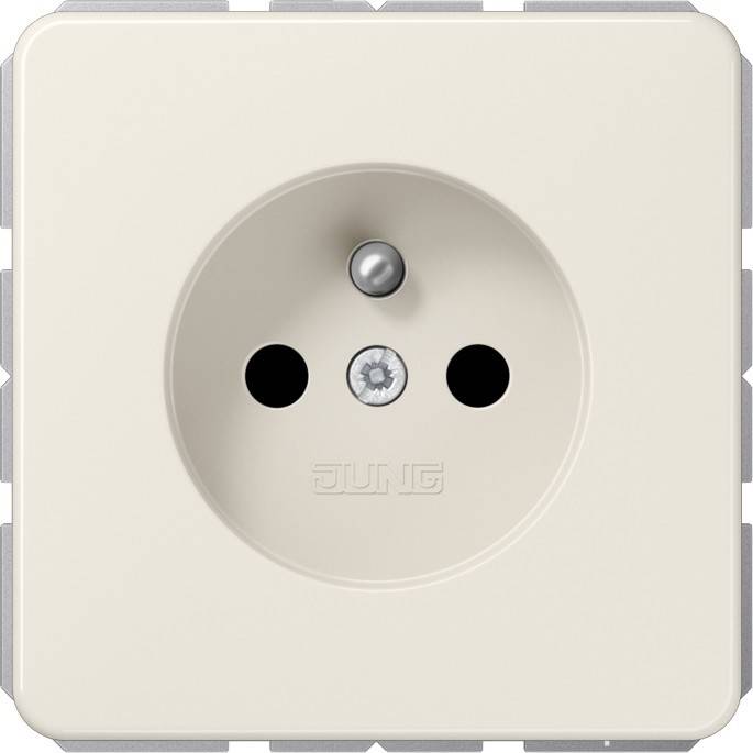 Jung Steckdose CD 1520 FKI