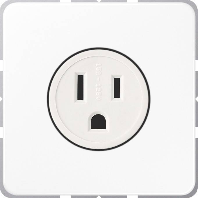 Jung Steckdose US-Norm NEMA CD 521-15 WW