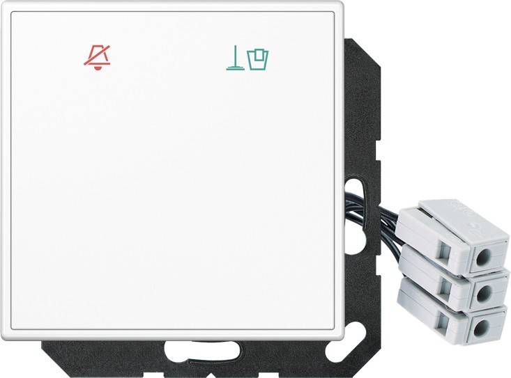 10 Stück Jung Hotelabdeckung Glas LS CU KO6 M 24 WW