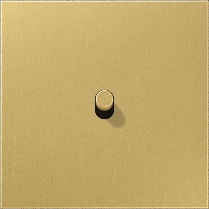 Jung Abdeckung mit Kipphebel ME 12-0 C R 25