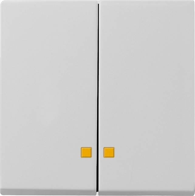 Gira Wippe 2-f. 0631015