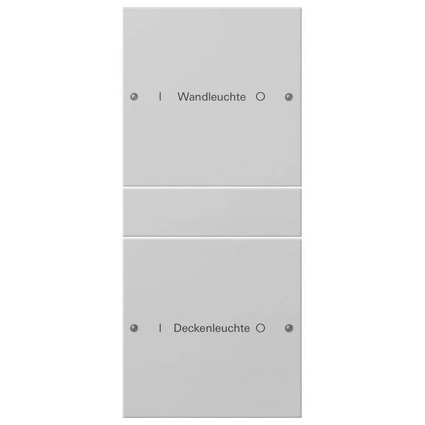 Gira Wippenset 2-f. 2202015