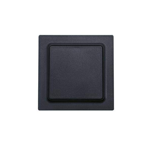 Eltako Wippschalter WS55E-am