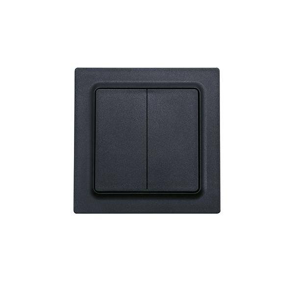 Eltako Wipptaster W2T55E-am