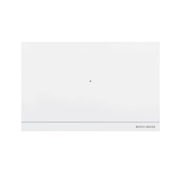 Busch-Jaeger Smart Access Point Pro D04011-03