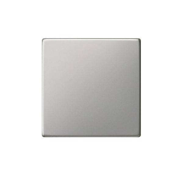 Gira Wippe Tastschalter 0916600