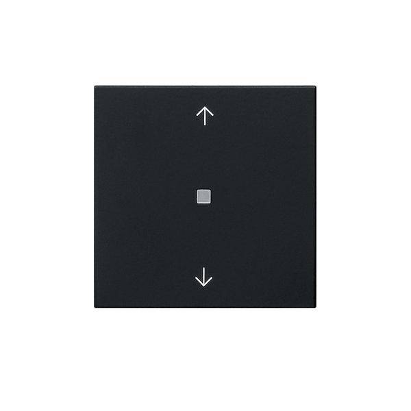 Gira Funk-Bedienaufsatz 5494005