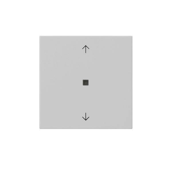 Gira Funk-Bedienaufsatz 5494015