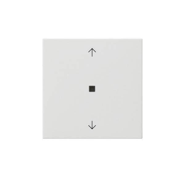 Gira Funk-Bedienaufsatz 549403