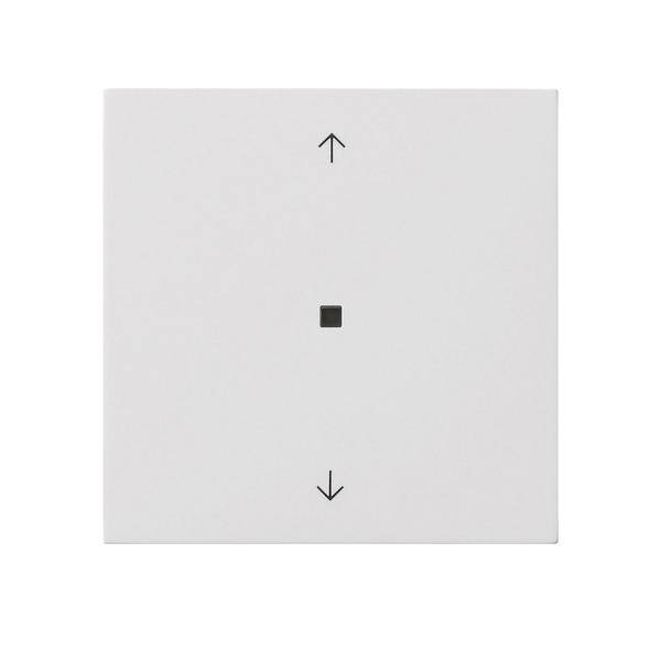 Gira Funk-Bedienaufsatz 5494112