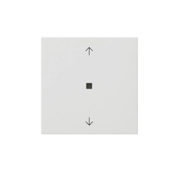 Gira Funk-Bedienaufsatz 549427