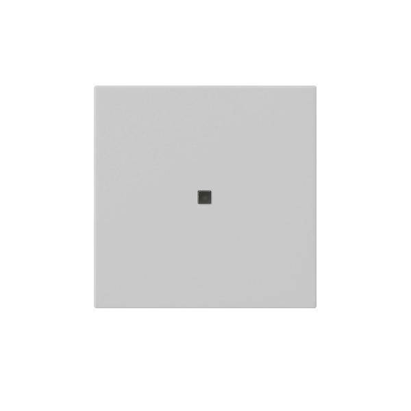 Gira Funk-Bedienaufsatz 5495015
