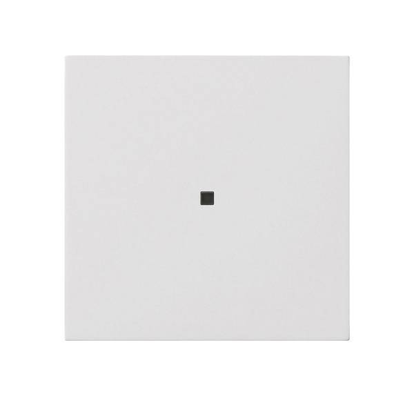 Gira Funk-Bedienaufsatz 5495112