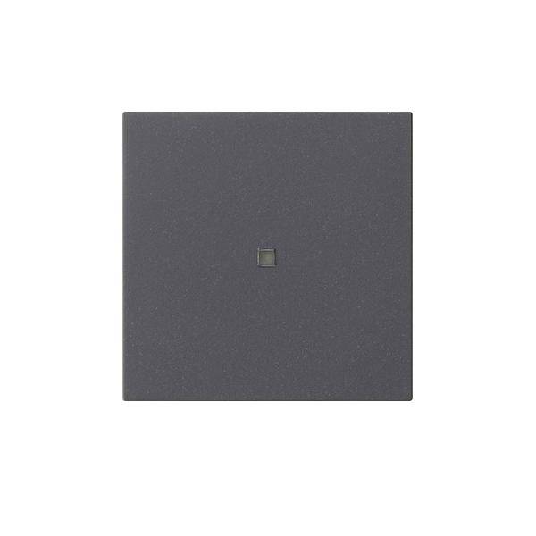 Gira Funk-Bedienaufsatz 549528