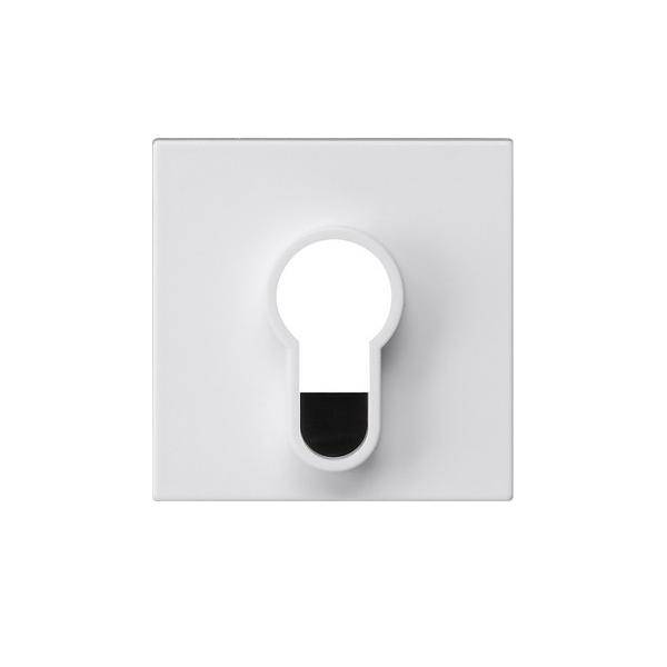 Gira Abdeckung 866427