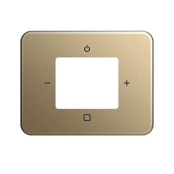 Busch-Jaeger Zentralscheibe 8252-21-101