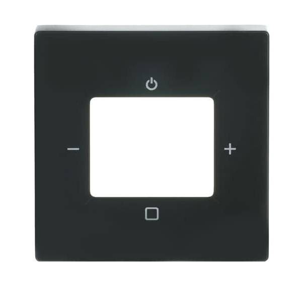 Busch-Jaeger Zentralscheibe 8252-81-101