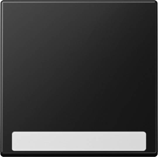 Jung Wippe 1fach A 590 BF NA SWM