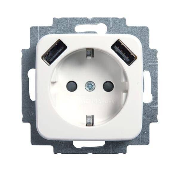 Busch-Jaeger SCHUKO-2x USB Steckdose 20 EUCB2USB-214