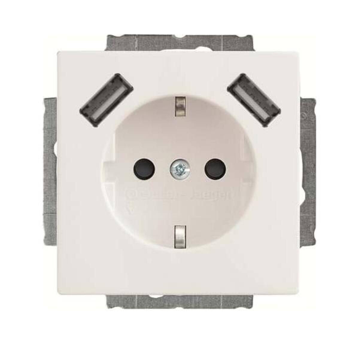 Busch-Jaeger SCHUKO-2x USB Steckdose 20 EUCB2USB-84