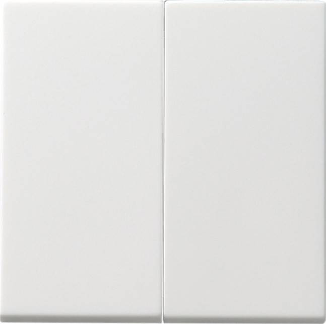 Gira Serienwippe rws/gl 091503