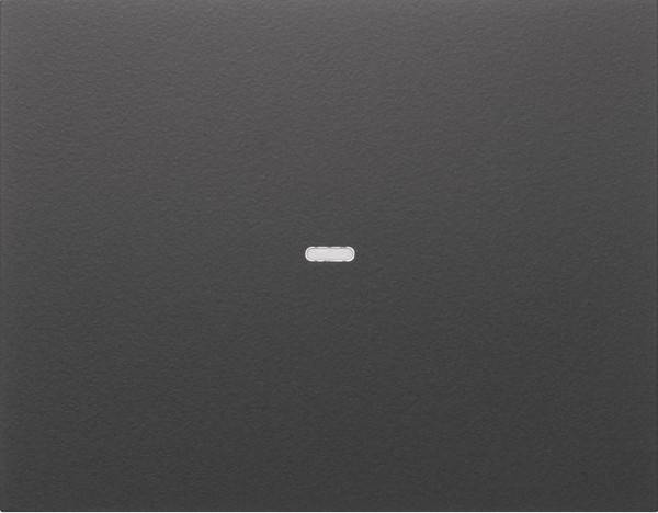 Berker Tast-Abdeckung 1f. anth 80960275