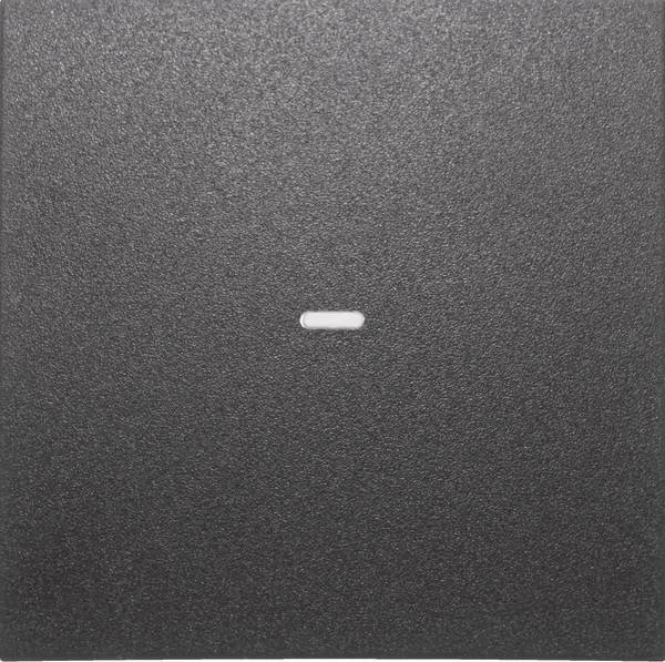 Berker Tast-Abdeckung 1f. anth 80960285