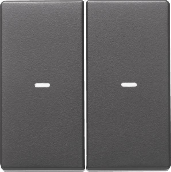 Berker Tast-Abdeckung 2f. anth 80960326