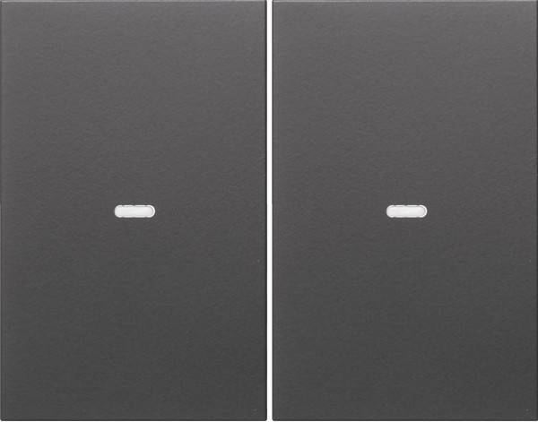 Berker Tast-Abdeckung 2f. anth 80960375