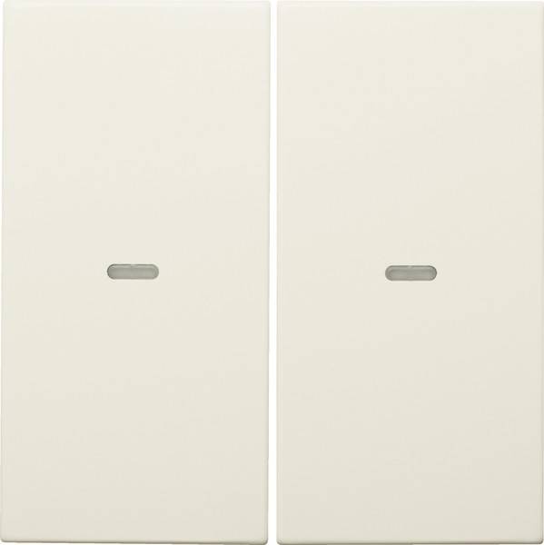 Berker Tast-Abdeckung 2f. ws 80960382