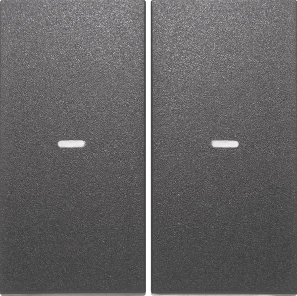 Berker Tast-Abdeckung 2f. anth 80960385