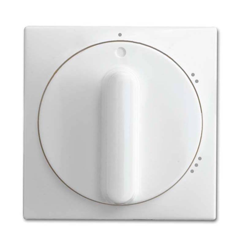 Busch-Jaeger Zentralscheibe alpinws 2542 DR/02-914