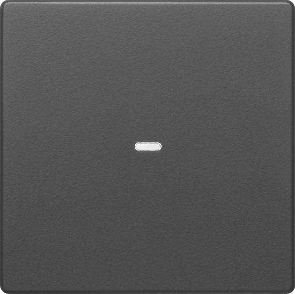 Berker Tast-Abdeckung 1f. anth 80960226