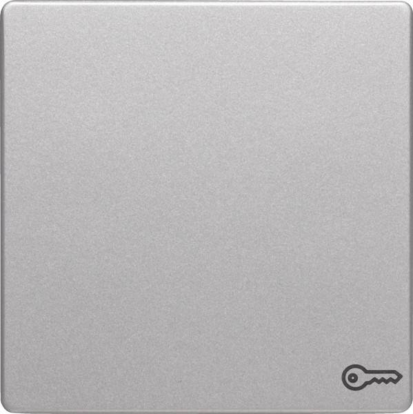 Berker Wippe alu/lack 16206064