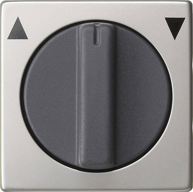 Gira Abdeckung 0666600