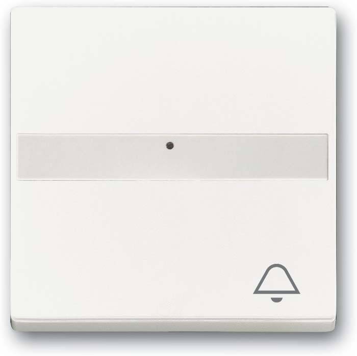 Busch-Jaeger Wippe 1764 NLI/KI-884