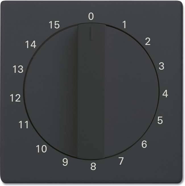 10 Stück Busch-Jaeger Zentralscheibe anthrazit 1770-81-103