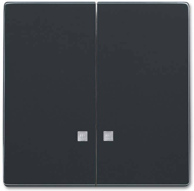 Busch-Jaeger Wippe 1785 K-81