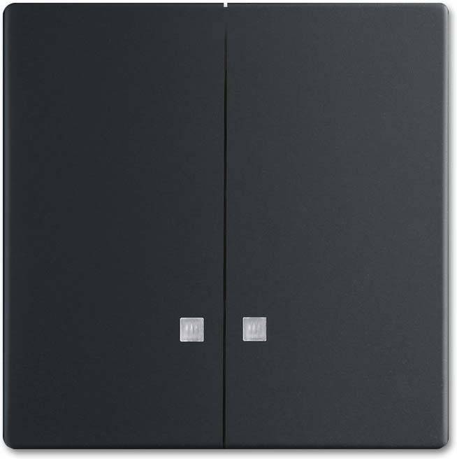 Busch-Jaeger Wippe 1785 K-885