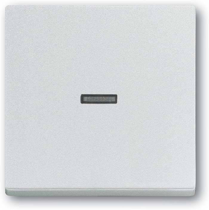 Busch-Jaeger Wippe 1789 N-83