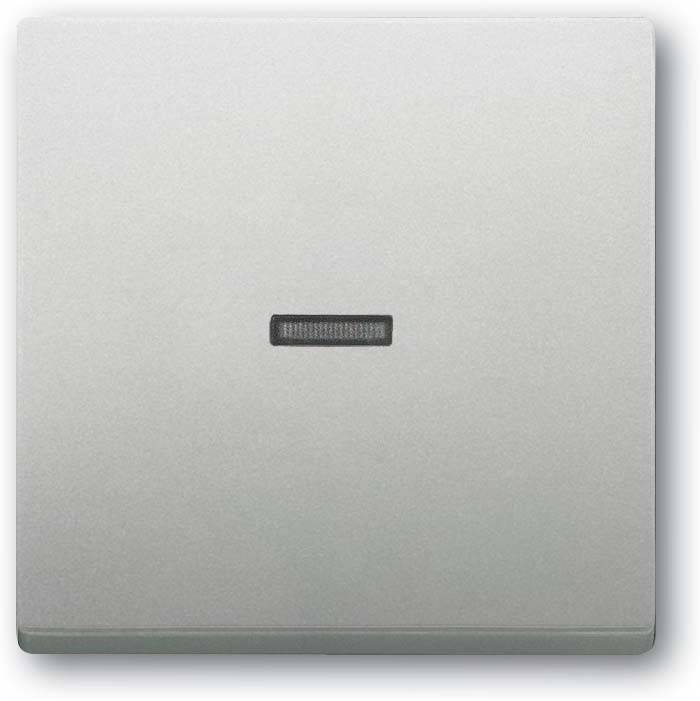 Busch-Jaeger Wippe 1789 N-866