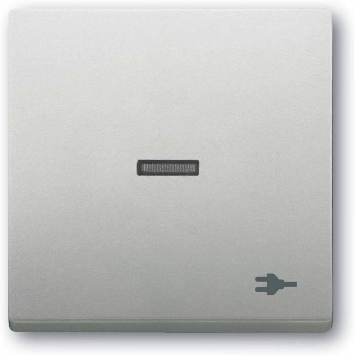 Busch-Jaeger Wippe mit Aufdruck 1789 ST-866