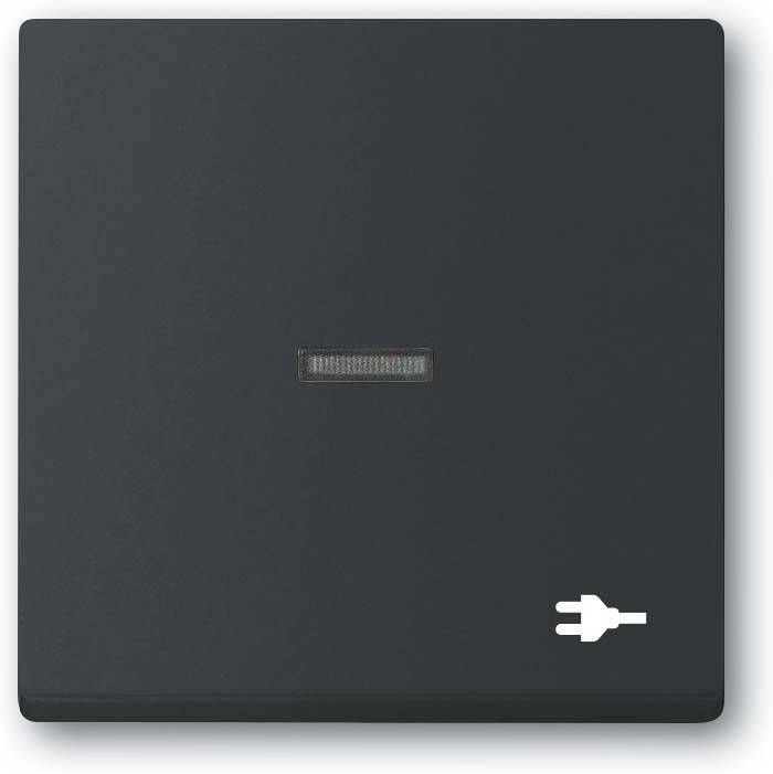 Busch-Jaeger Wippe mit Aufdruck 1789 ST-885