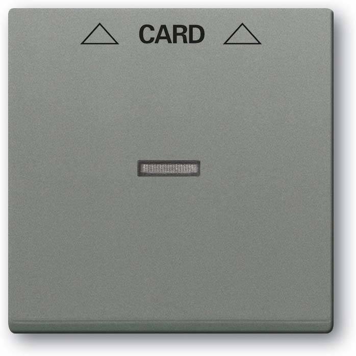 10 Stück Busch-Jaeger Zentralscheibe gr/metal 1792-803